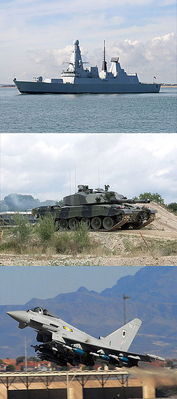 A collage representing the Tri-Services of the... A collage representing the Tri-Services of the...