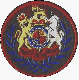 WO1 variant arm badge (British Army)