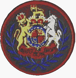 WO1 variant arm badge (British Army) WO1 variant arm badge (British Army)